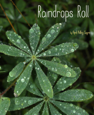 Raindrops-Roll